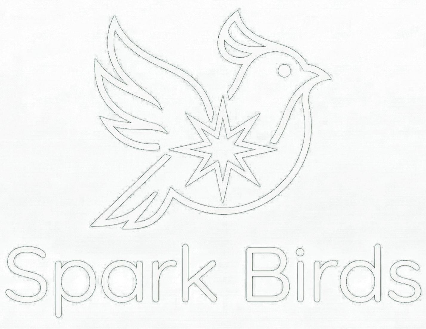 Spark Birds